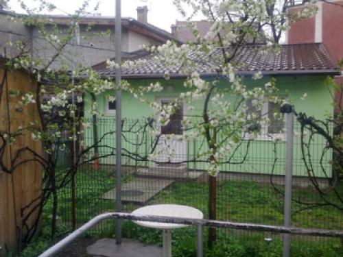 CazareMontana.ro - Apartament Garsoniera Antonella