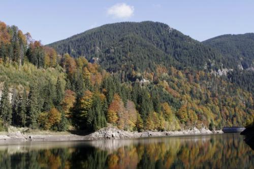 CazareMontana.ro - Cabana Turistica Petrimanu