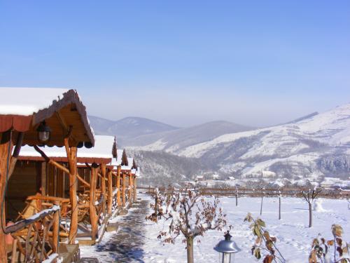 CazareMontana.ro - Pensiunea Bodrogeni